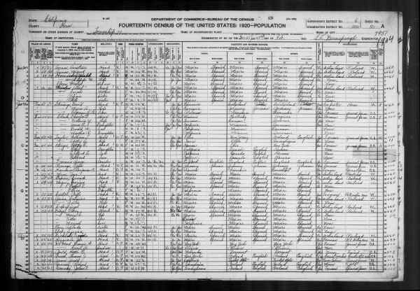 1920 United States Federal Census